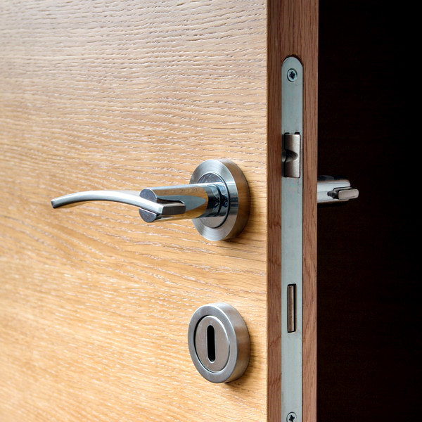 Door Lock Case